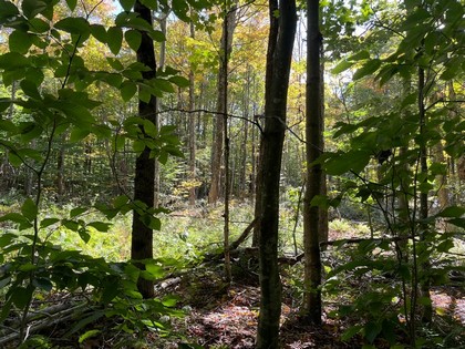 NY hunting land for sale