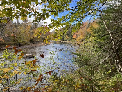 Adirondack waterfront land for sale NY