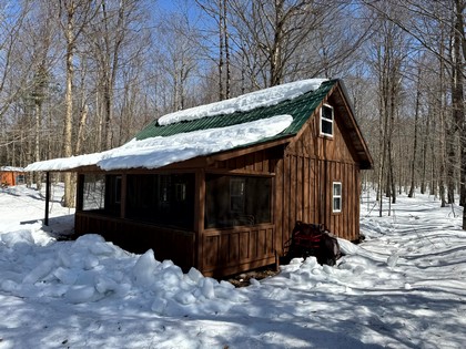 Adirondack camps for sale