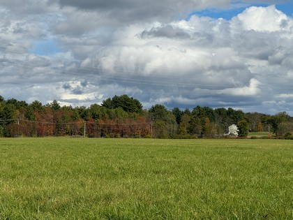 NY farmland for sale