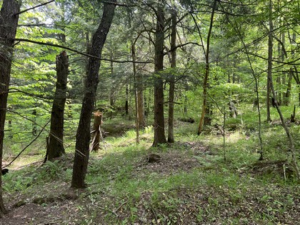 Riverfront land for sale in NY