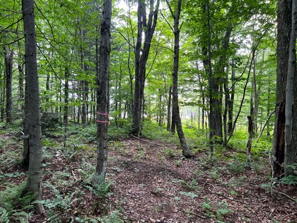 NY hunting land for sale, land and hunting camps, ny properties, christmas associates