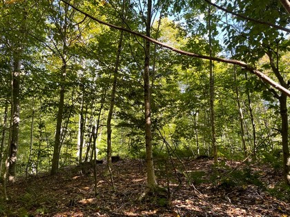 NY hunting land for sale