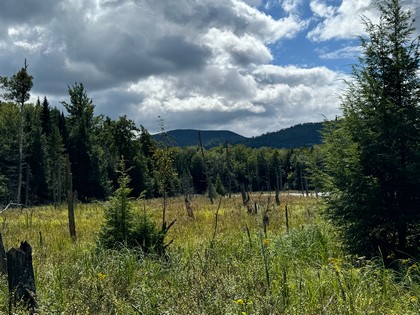 Adirondack land for sale