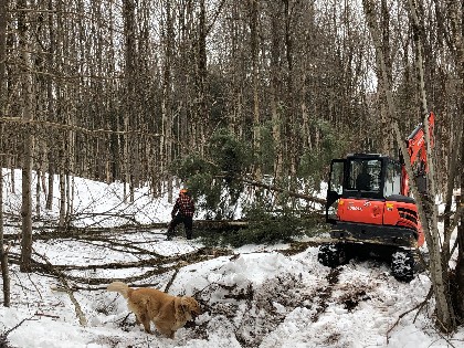 Land and Camps Crew Working on Lot Clearing for a Customer Cabin - Camp Crew Photos 