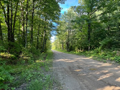 Adirondack land for sale