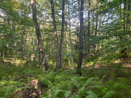 NY land for sale