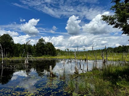 Tug Hill NY land for sale