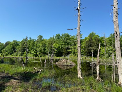 Tug Hill NY land for sale