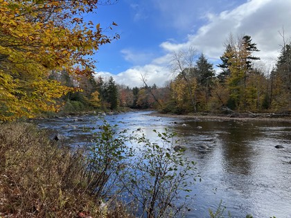 Adirondack waterfront land for sale NY