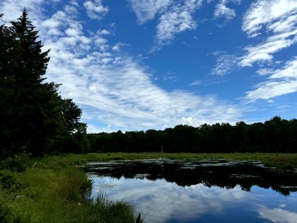 Tug Hill NY land for sale