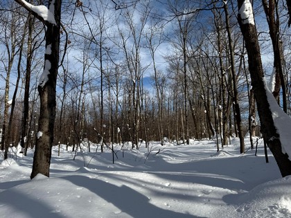 NY land for sale Tug Hill