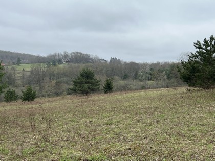 NY land for sale southern tier