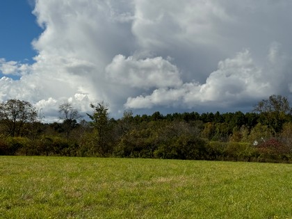 NY farmland for sale