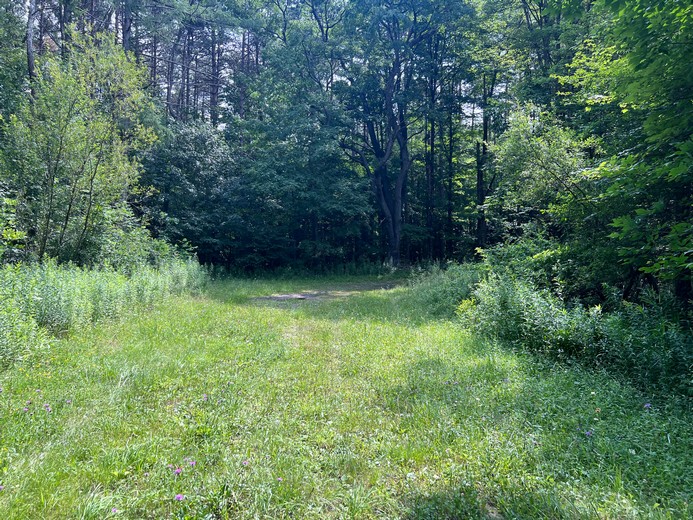 Southern Tier NY land for sale