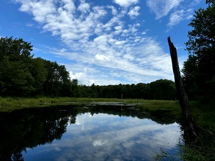 Tug Hill NY land for sale