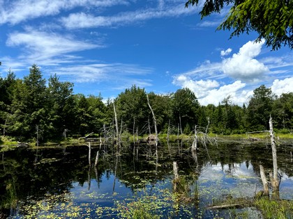 Tug Hill NY land for sale