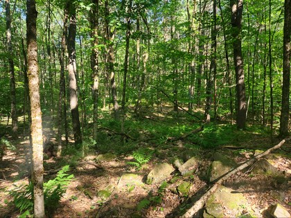 NY land and camp for sale