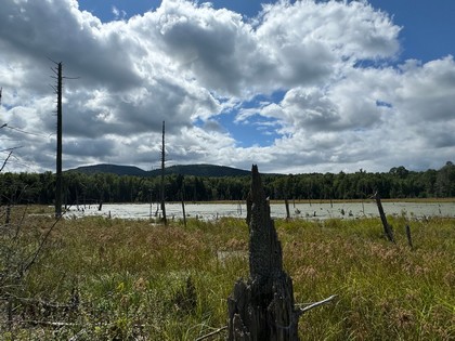 Adirondack land for sale