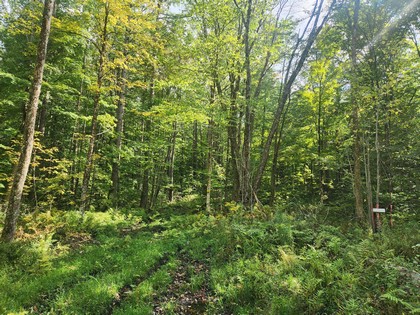 NY land for sale