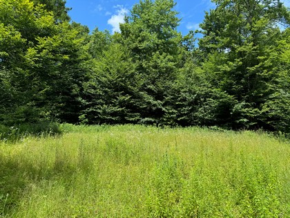 NY land for sale