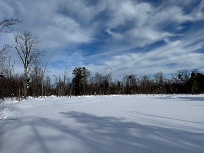 NY land for sale Tug Hill