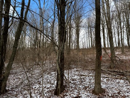 NY hunting land for sale