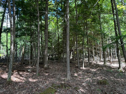 Adirondack land for sale