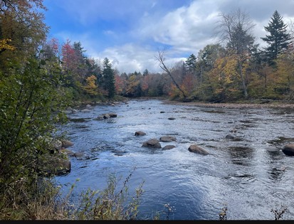 Adirondack waterfront land for sale NY