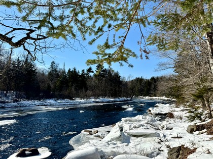 Adirondack waterfront land for sale NY