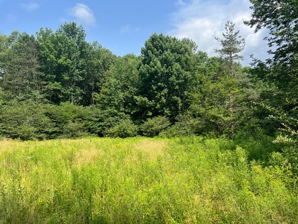 Southern tier NY land for sale