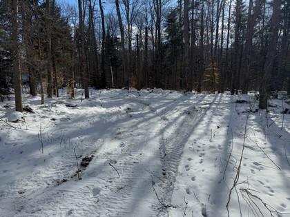 Adirondack waterfront land for sale NY