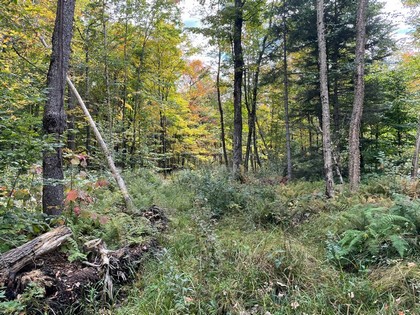 NY hunting land for sale