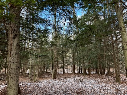 NY hunting land for sale