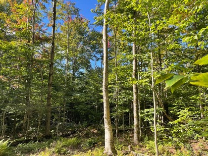 NY hunting land for sale