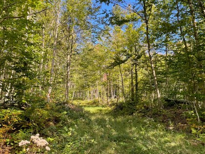 NY hunting land for sale