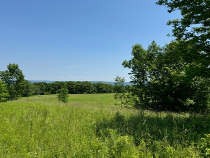 NY farm land for sale