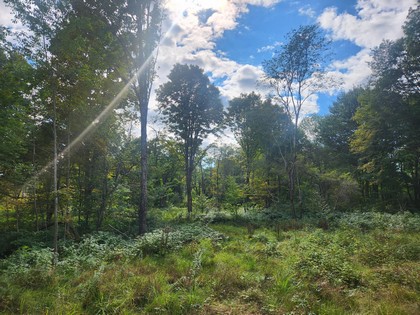 NY land for sale