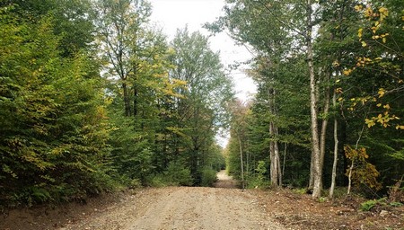 NY hunting land for sale