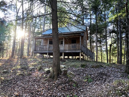 NY cabin for sale