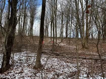 NY hunting land for sale