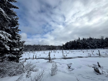 Tug Hill NY land for sale